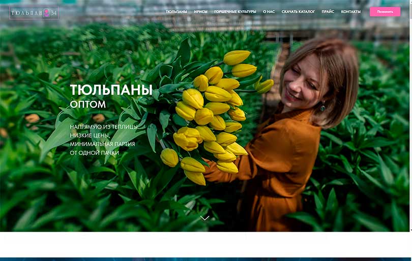 Финальный экран проекта Лендинг тепличного хозяйства Tulpan34